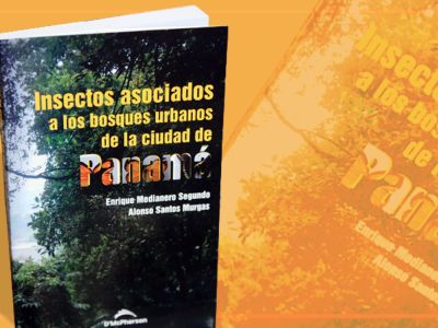 Investigadores publican el primer ‘inventario’ de insectos de los bosques urbanos de la ciudad de Panamá